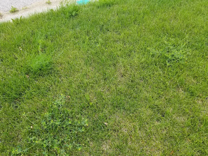 Hawx Pest Control Picture 9