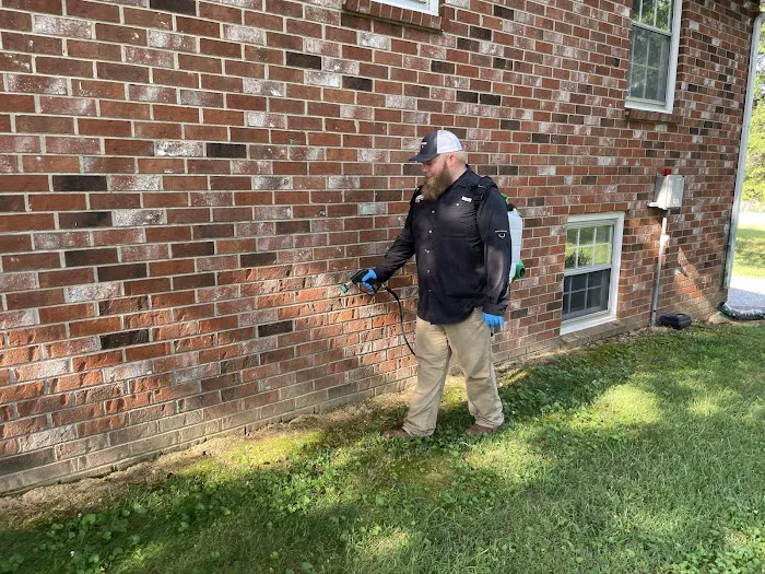 All Gone Pest Service Picture 4