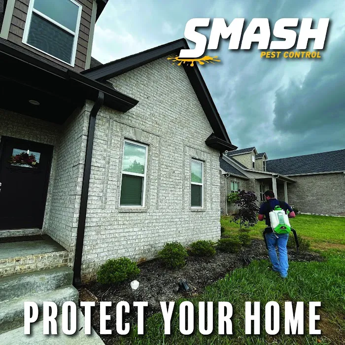Smash Pest Control -Nashville Tennessee Picture 10