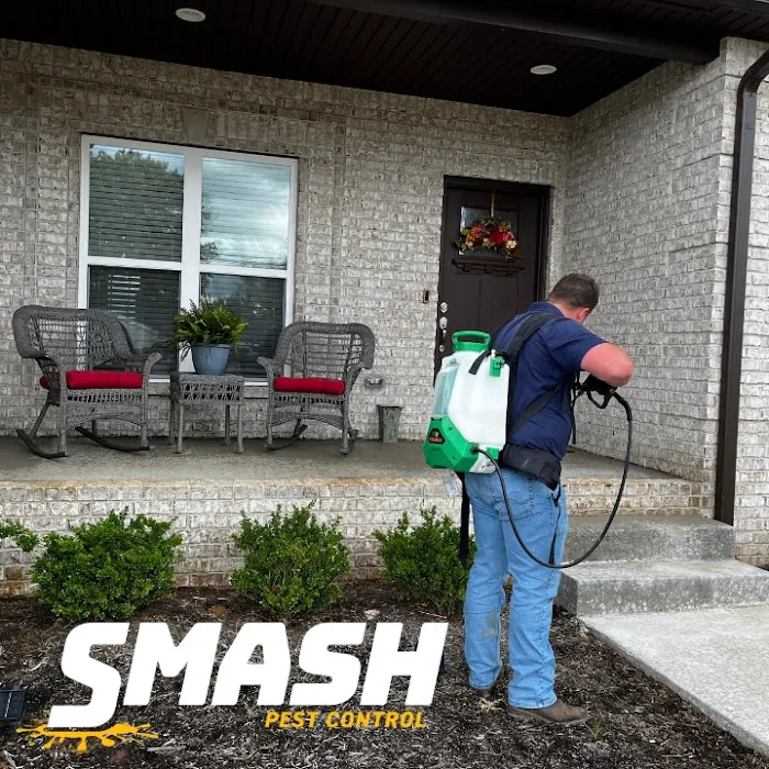 Smash Pest Control -Nashville Tennessee Picture 2