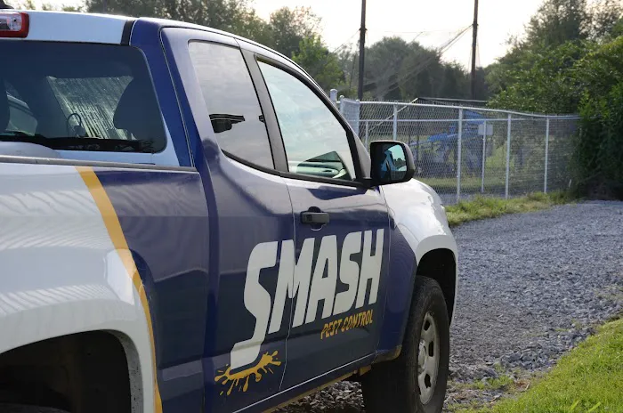 Smash Pest Control -Nashville Tennessee Picture 6