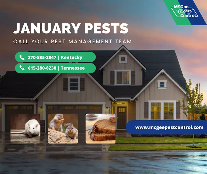McGee Pest Control Inc Picture 10