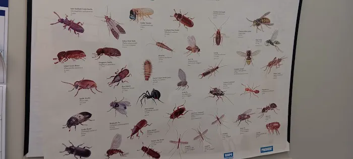 State-Line Exterminating Picture 1