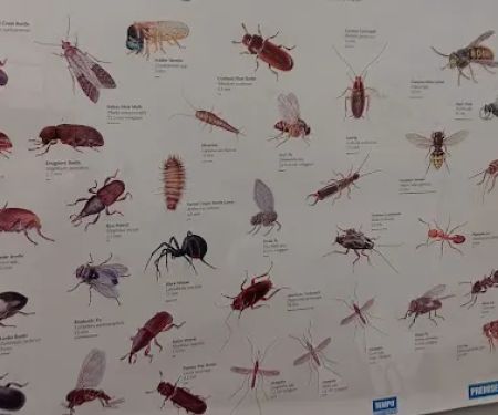 State-Line Exterminating
