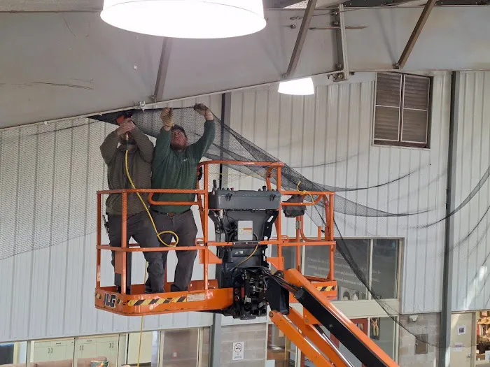 Patriot Wildlife & Home Repair Picture 7
