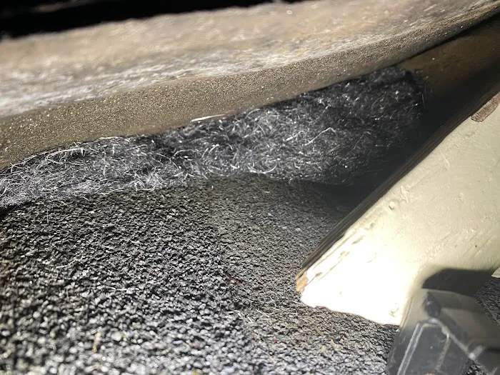 Marvelous Pest Solutions, LLC Picture 4