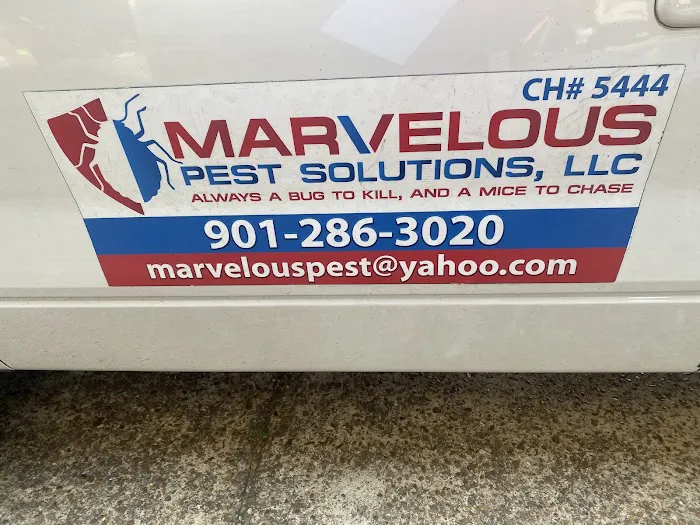 Marvelous Pest Solutions, LLC Picture 6