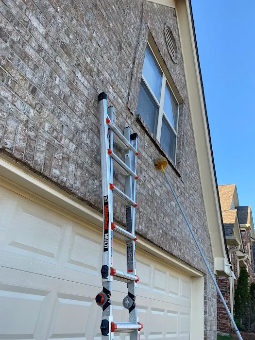Marvelous Pest Solutions, LLC Picture 1