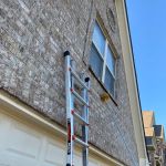 Marvelous Pest Solutions, LLC