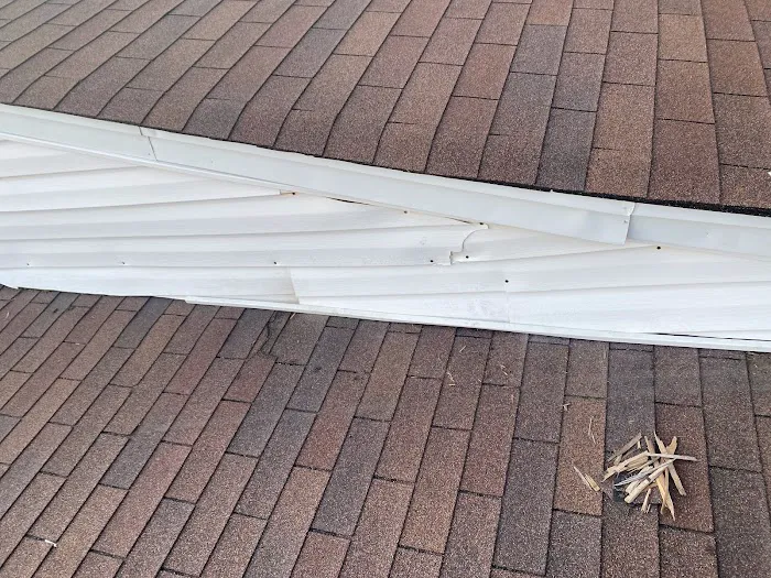 Marvelous Pest Solutions, LLC Picture 5