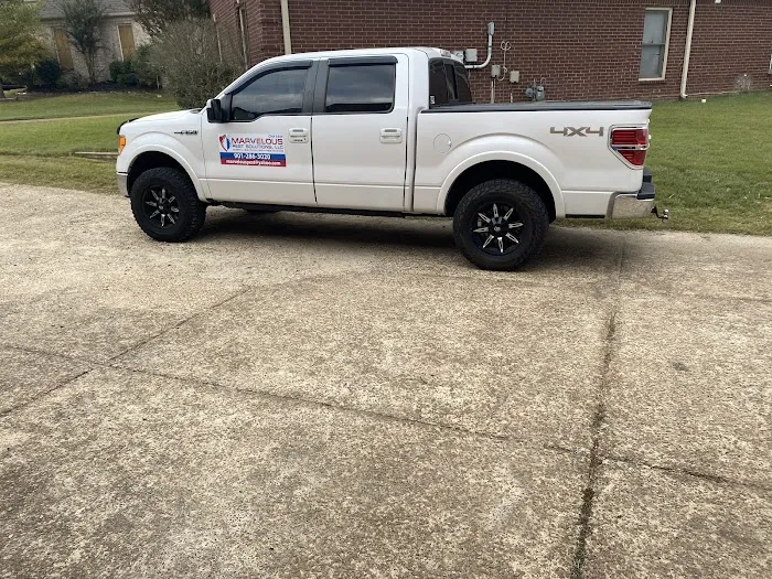 Marvelous Pest Solutions, LLC Picture 2