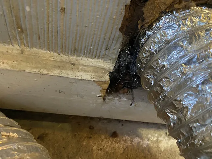 Marvelous Pest Solutions, LLC Picture 8