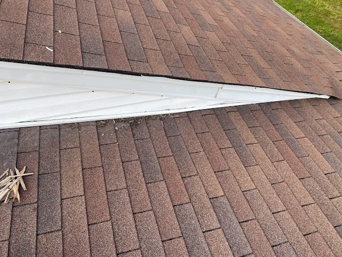 Marvelous Pest Solutions, LLC Picture 10