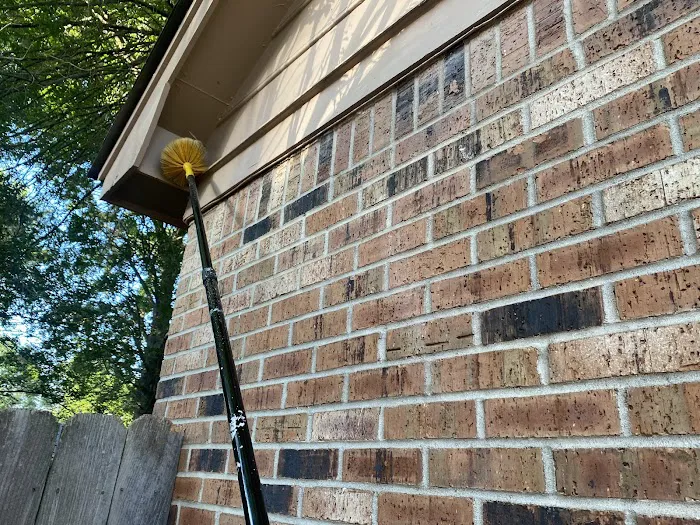 Marvelous Pest Solutions, LLC Picture 3