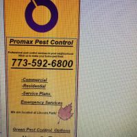 Promax pest management inc ico