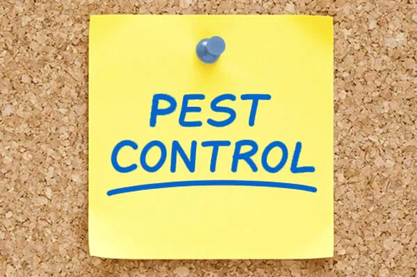 Promax pest management inc Picture 4