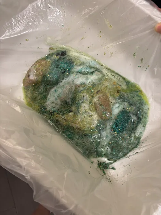 Terminix Picture 6