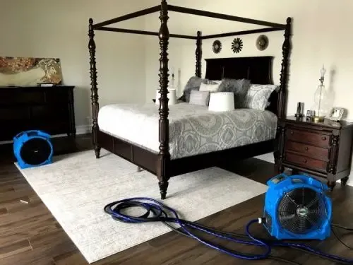 Immediate Bed Bug Heat Treatment Picture 1