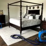 Immediate Bed Bug Heat Treatment