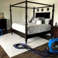 Immediate Bed Bug Heat Treatment ico