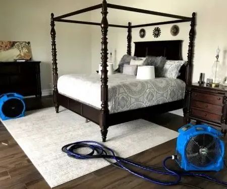 Immediate Bed Bug Heat Treatment