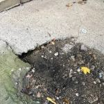 Superior Pest Solutions