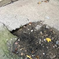 Superior Pest Solutions ico