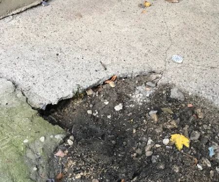 Superior Pest Solutions