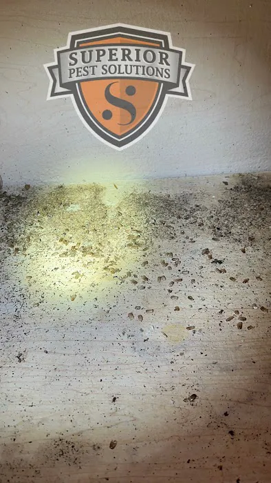 Superior Pest Solutions Picture 6