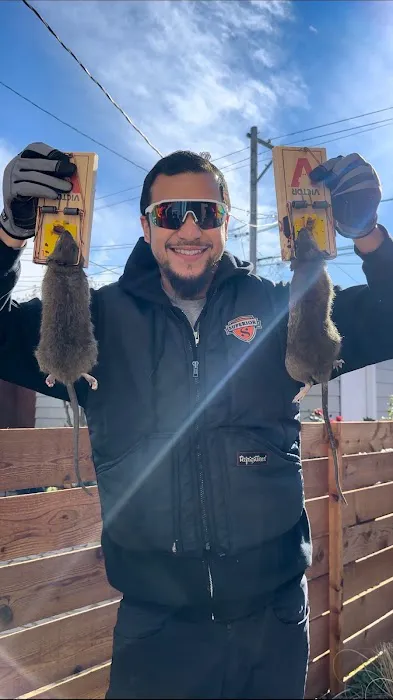 Superior Pest Solutions Picture 5
