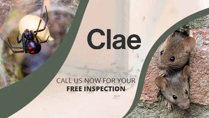 Clae Pest Control Picture 4