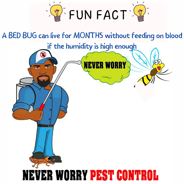 Never Worry Pest Control Picture 5