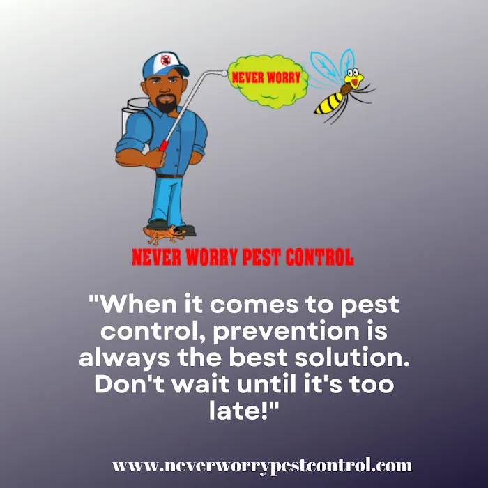 Never Worry Pest Control Picture 8