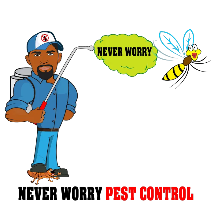Never Worry Pest Control Picture 9