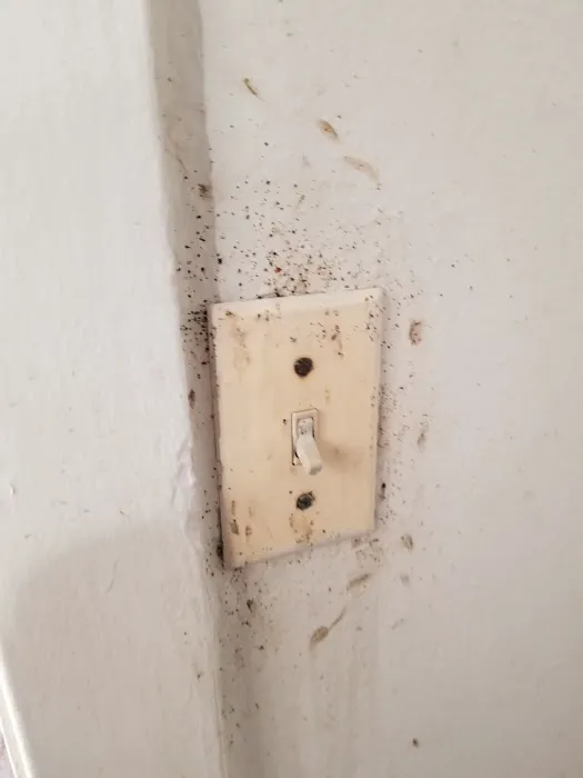 Eco Pest Solutions Picture 6