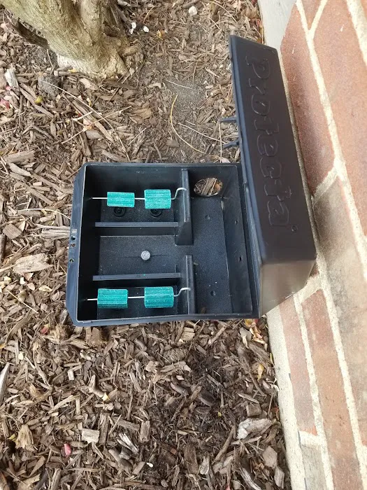 Eco Pest Solutions Picture 4