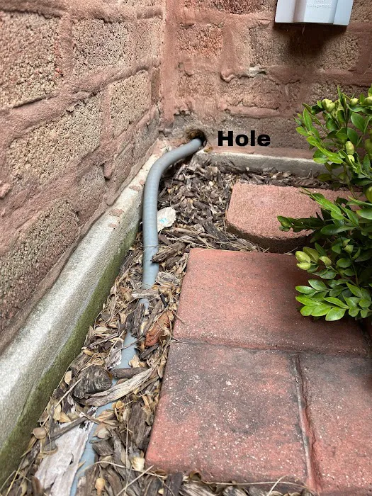 Eco Pest Solutions Picture 9