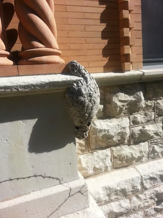 Eco Pest Solutions Picture 8