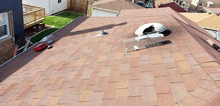 Pest Control Chicagoland, Inc Picture 6