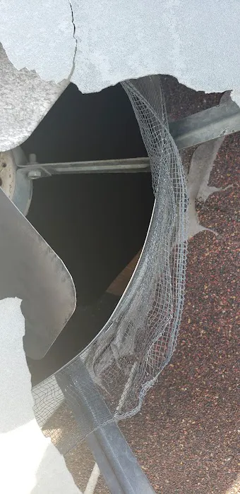 Pest Control Chicagoland, Inc Picture 9