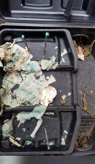 Easy Way Pest Control Picture 3