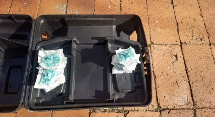 Easy Way Pest Control Picture 1