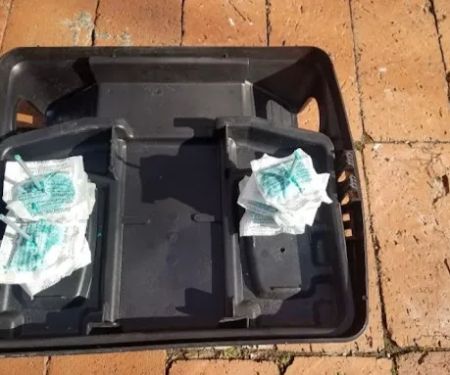 Easy Way Pest Control