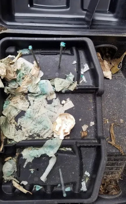 Easy Way Pest Control Picture 7
