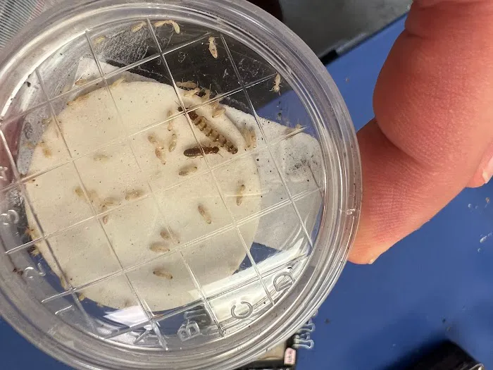 Midstate Termite & Pest Control Picture 5