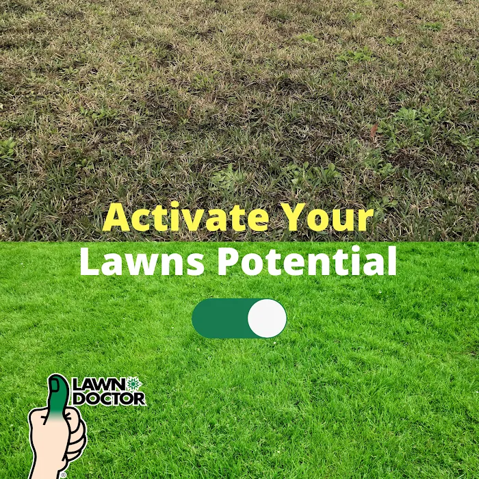 Lawn Doctor of Chattanooga Picture 2