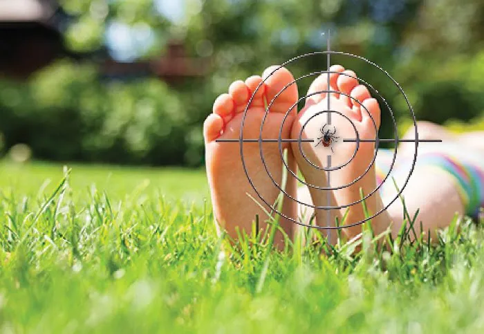 Lawn Doctor of Chattanooga Picture 8