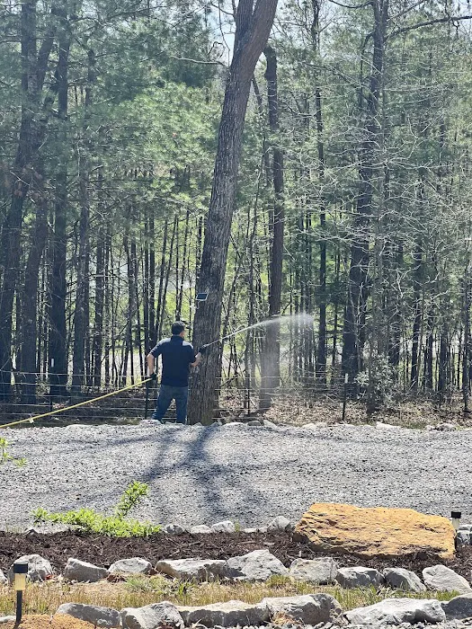Lookout Pest Control Picture 5