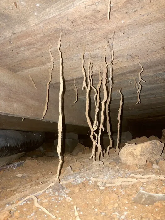 Lookout Pest Control Picture 10