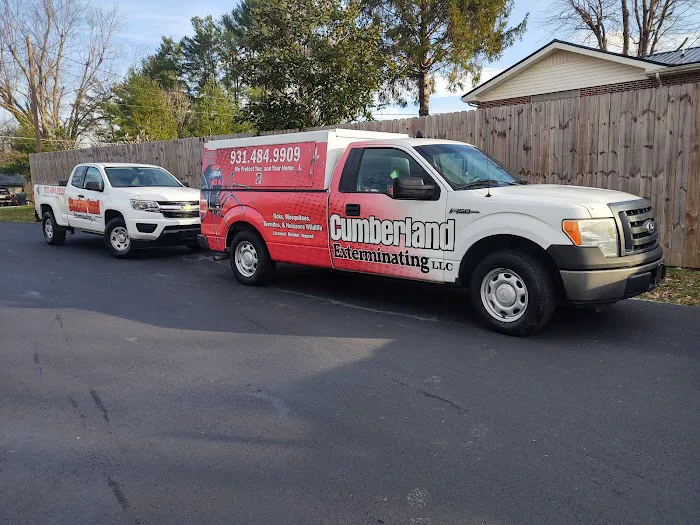 Cumberland Exterminating LLC Picture 1